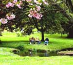 painting workshop at St Fagans museum of Welsh Life