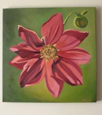 Pink Flower