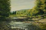Stream in the forest