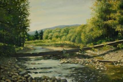 Stream in the forest