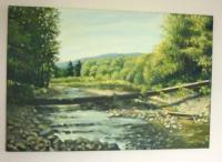 Stream in the forest