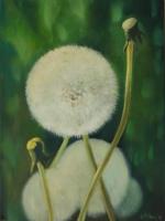 Dandylion