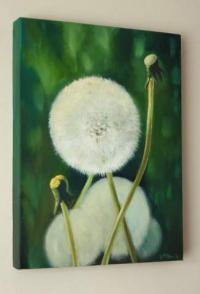Dandylion