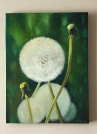 Dandylion
