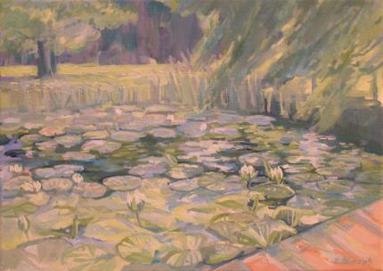 Water Lilies