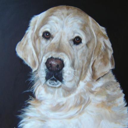 Retriever portrait