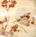 Zen blossom II