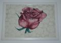 Rose 2