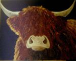 Hamish