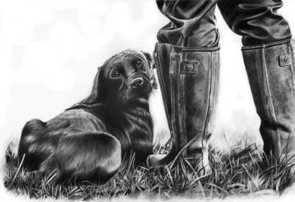Gun Dog