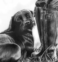 Gun Dog