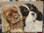 Cavaliers