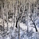 Birch Trees