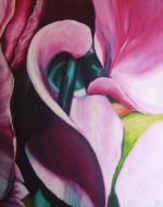 Cyclamen1