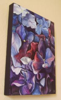 Hydrangea