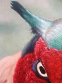 Pheasant 