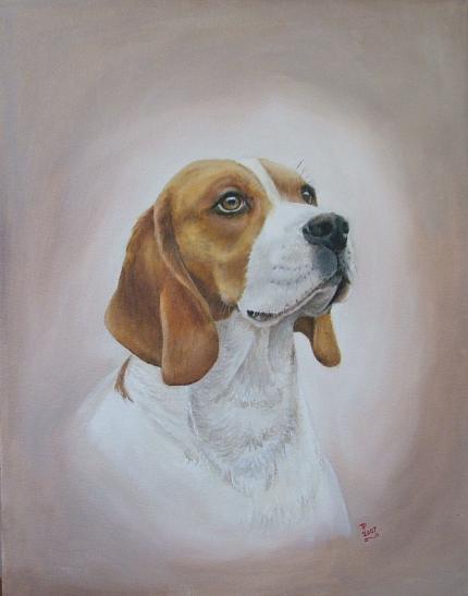 Ben the Foxhound