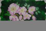 helleborus