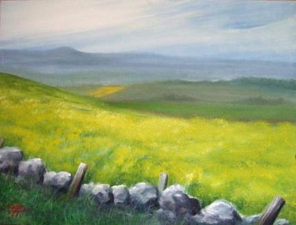 Summer harvest in The Mearns