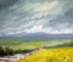 Summer blues in The Mearns