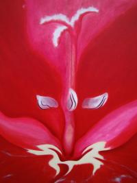 Gladioli