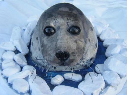 Samuel (Harp Seal)