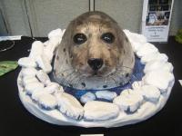 Samuel (Harp Seal)