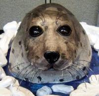 Samuel (Harp Seal)