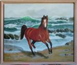 Wild Sea Wild Spirit