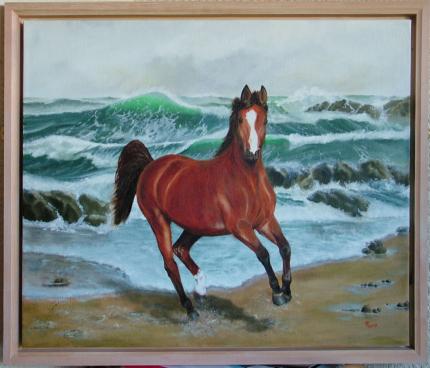 Wild Sea Wild Spirit