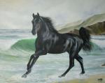 BLACK HORSE AT WATER'S EDGE