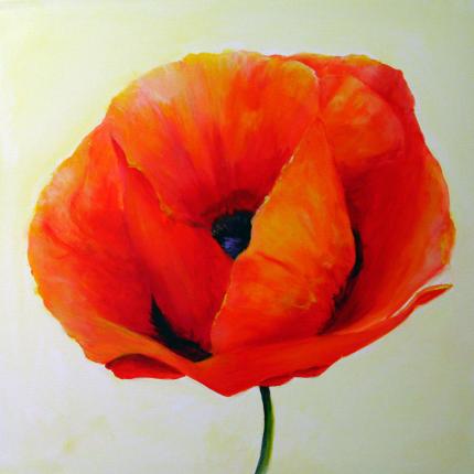 Proud Poppy