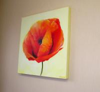 Proud Poppy