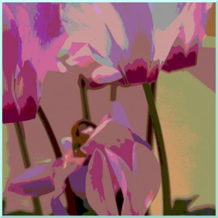 Abstract  cyclaman