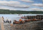Lake Coniston, The Lake District