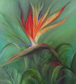Bird of paradise