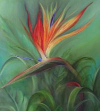 Bird of paradise