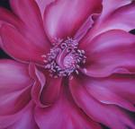 'Pink '