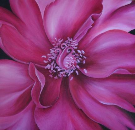 'Pink '