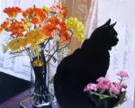 Freesias and Blackie