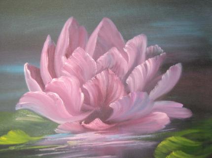 Water Lily 
