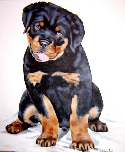 Rottweiler pup (commission)