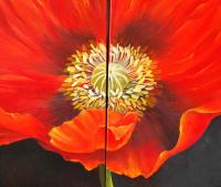 'DUO' Poppy 