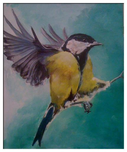Bird in flight