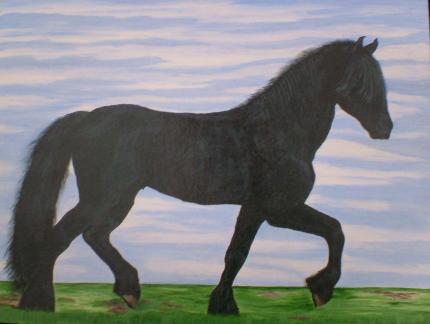 Black horse