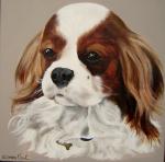Cavalier King Charles(commission)