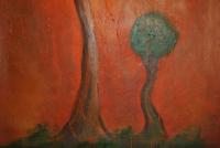 Tall Tree Small Tree