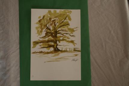 Lonley tree
