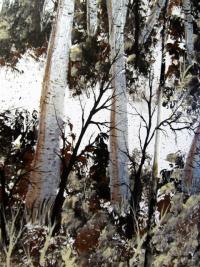 The Silver Birches