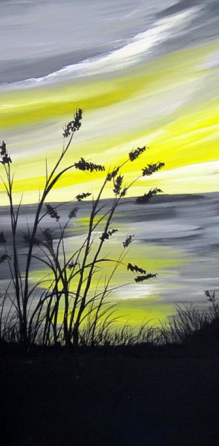 Sunny Grasses